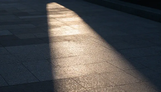 供求信息对接平台适用条件及选择依据分析